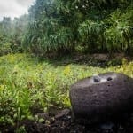 kahanu-garden-piilanihale