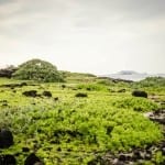 makapu-point-beach-oahu